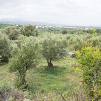 Земельный участок в Греции, Крит