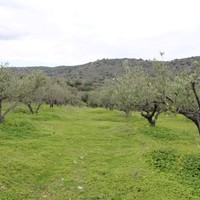 Business center in Greece, Crete, 105 sq.m.