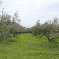 Business center in Greece, Crete, 105 sq.m.