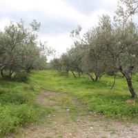 Business center in Greece, Crete, 105 sq.m.