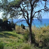 Land plot in Greece, Ionian Islands