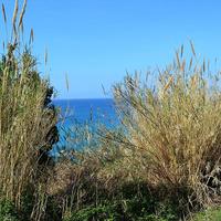 Land plot in Greece, Ionian Islands