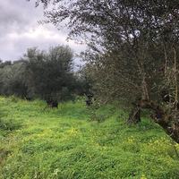 Земельный участок в Греции, Крит, Ханья