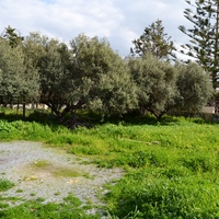 Бизнес-центр в Греции, Крит, Ханья, 276 кв.м.