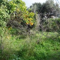 Земельный участок в Греции, Крит, Ханья