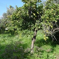 Земельный участок в Греции, Крит, Ханья