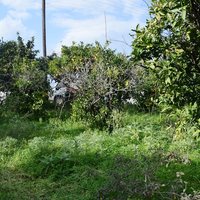 Земельный участок в Греции, Крит, Ханья