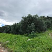 Земельный участок в Греции, Крит, Ханья