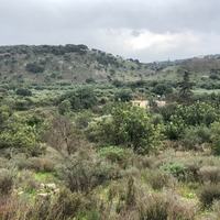 Земельный участок в Греции, Крит, Ханья