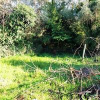 Другое в Греции, Ионические острова, 95 кв.м.