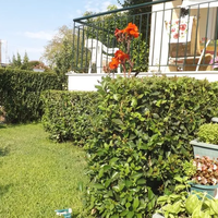 Другое в Греции, Центральная Македония, Центр, 76 кв.м.