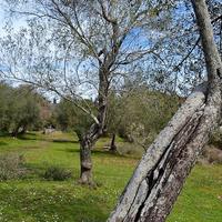 Земельный участок в Греции, Ионические острова