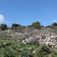 Land plot in Greece, Crete