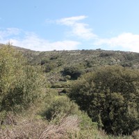 Land plot in Greece, Crete