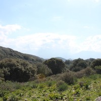 Land plot in Greece, Crete