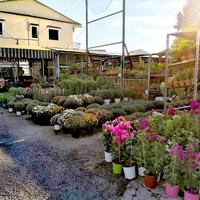 Бизнес-центр в Греции, Ионические острова, 3000 кв.м.