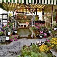 Бизнес-центр в Греции, Ионические острова, 3000 кв.м.