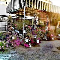 Бизнес-центр в Греции, Ионические острова, 3000 кв.м.