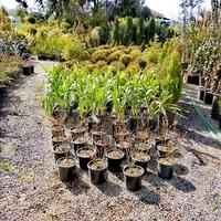 Бизнес-центр в Греции, Ионические острова, 3000 кв.м.