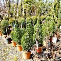 Бизнес-центр в Греции, Ионические острова, 3000 кв.м.