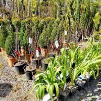 Бизнес-центр в Греции, Ионические острова, 3000 кв.м.