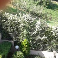 Villa in Greece, Central Macedonia, Center, 650 sq.m.