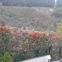 Villa in Greece, Central Macedonia, Center, 650 sq.m.