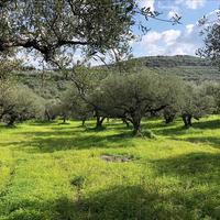 Земельный участок в Греции, Крит, Ханья