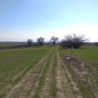 Land plot in Greece, Central Macedonia, Center