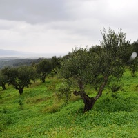 Land plot in Greece, Crete, Chania
