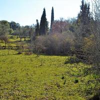 Land plot in Greece, Ionian Islands