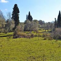 Land plot in Greece, Ionian Islands