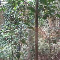 Business center in Greece, Attica, Athens, 918 sq.m.