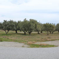 Land plot in Greece, Central Macedonia, Center