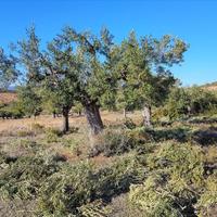 Land plot in Greece, Central Macedonia, Center