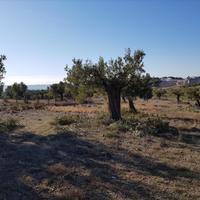 Land plot in Greece, Central Macedonia, Center