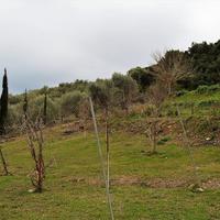 Земельный участок в Греции, Ионические острова