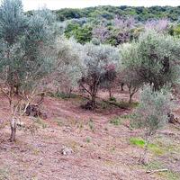 Земельный участок в Греции, Ионические острова