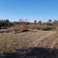 Земельный участок в Греции, Центральная Македония, Центр