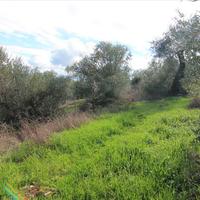 Land plot in Greece, Ionian Islands