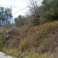 Land plot in Greece, Ionian Islands