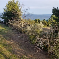 Другое в Греции, Центральная Македония, Центр, 300 кв.м.