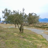 Земельный участок в Греции, Центральная Македония, Центр