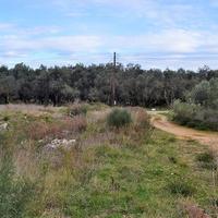 Land plot in Greece, Ionian Islands