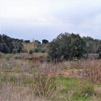 Land plot in Greece, Ionian Islands