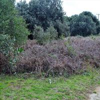 Land plot in Greece, Ionian Islands