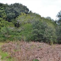 Land plot in Greece, Ionian Islands