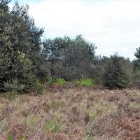 Land plot in Greece, Ionian Islands