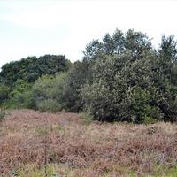 Land plot in Greece, Ionian Islands