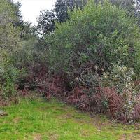 Land plot in Greece, Ionian Islands